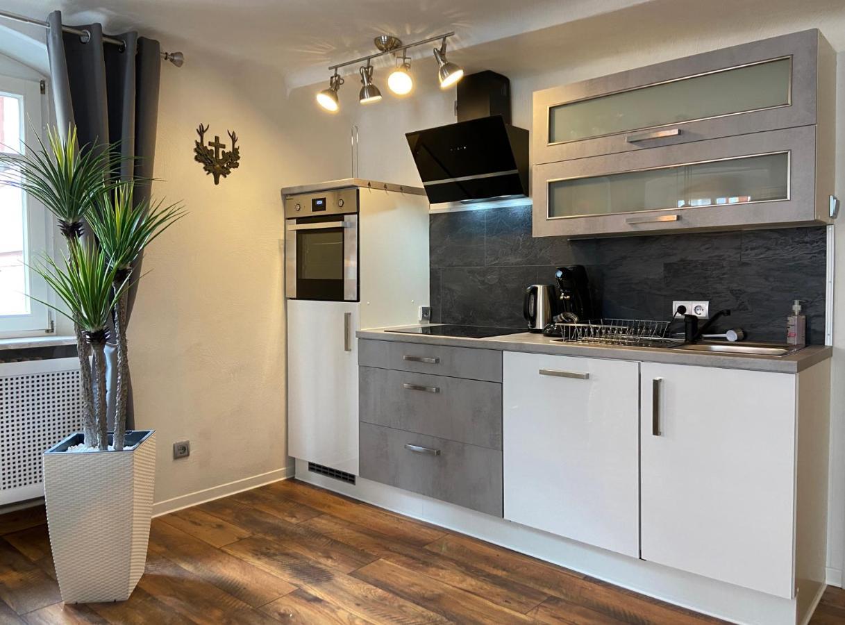 Appartement Schlossberg, Gasthaus Hirsch Hirschhorn Εξωτερικό φωτογραφία